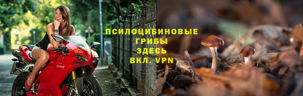 СК Верхний Тагил