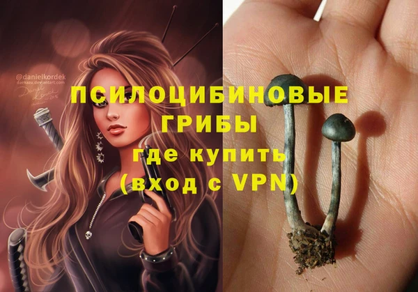 прущие грибы Верхнеуральск