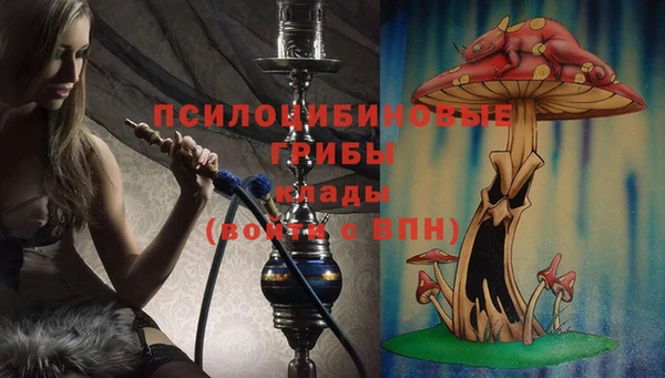 прущие грибы Верхнеуральск
