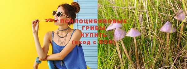 СК Верхний Тагил