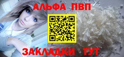 прущие грибы Абакан