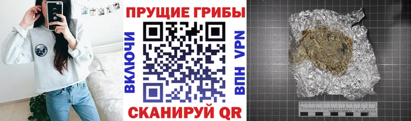 Галлюциногенные грибы Psilocybe  закладка  Бугульма 