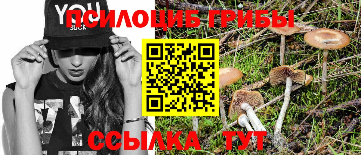 Псилоцибиновые грибы Cubensis Бугульма
