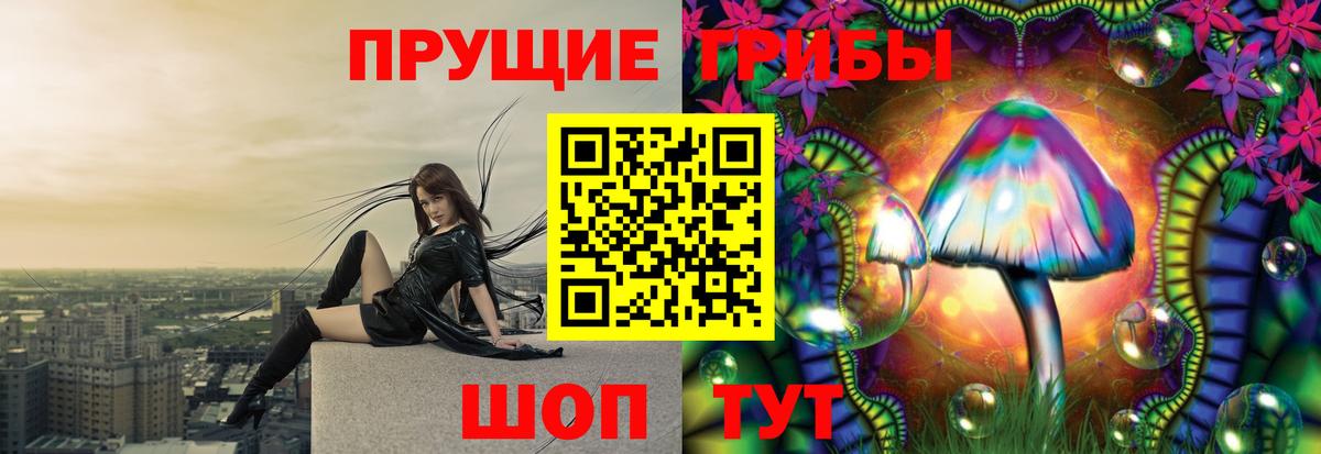 Бугульма  Псилоцибиновые грибы Magic Shrooms  Вход с VPN 