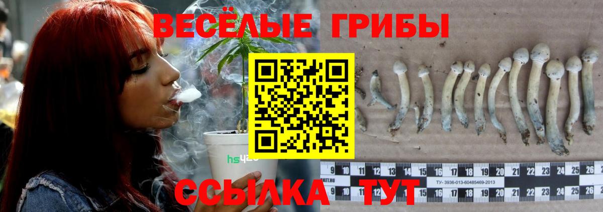 Купить закладку  Хэш  Гашик  APVP  Бугульма  Вход с VPN  COCAIN  МЕФ 